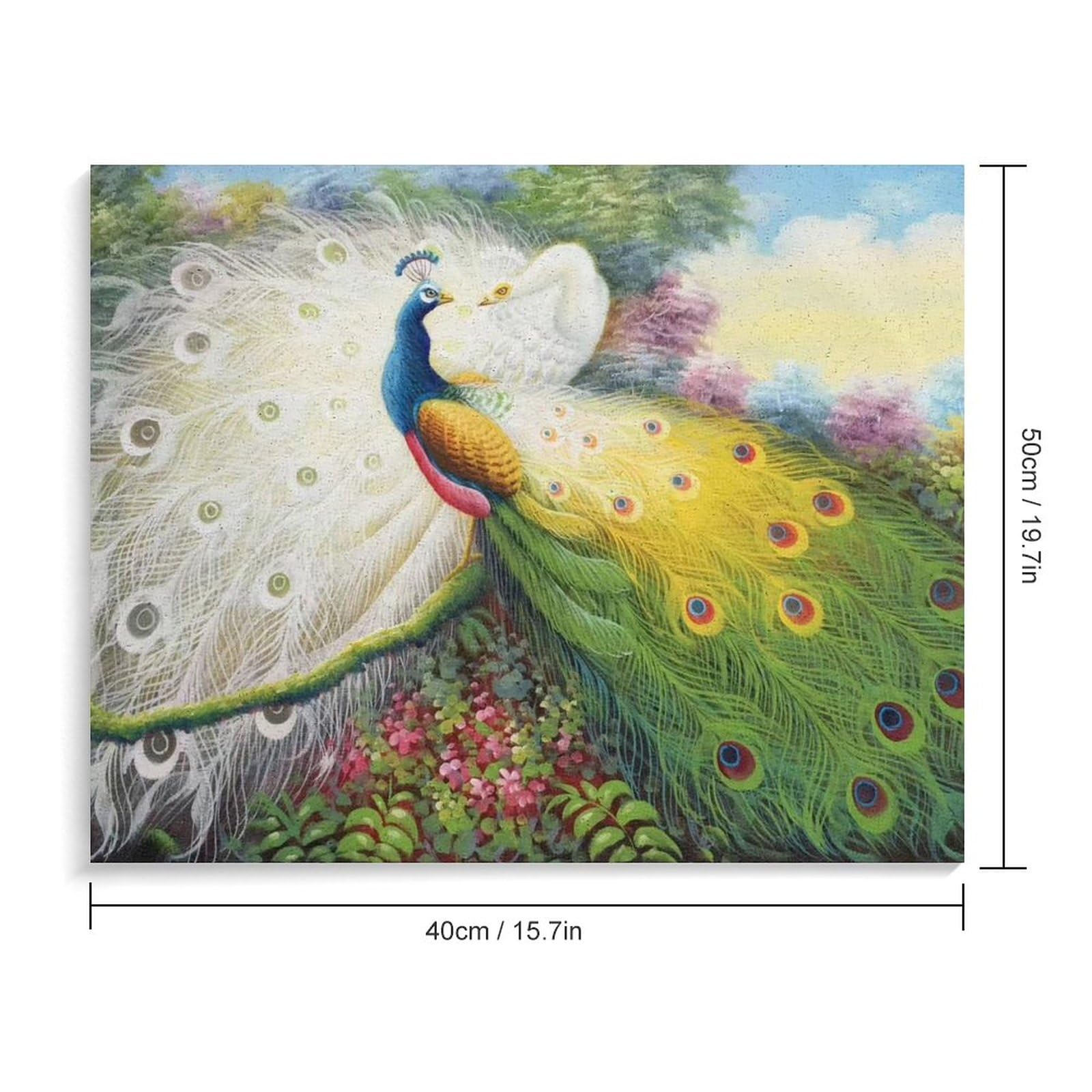 Amazon | 緑孔雀と白孔雀です 数字油絵 鳥です 数字キット塗り絵 手